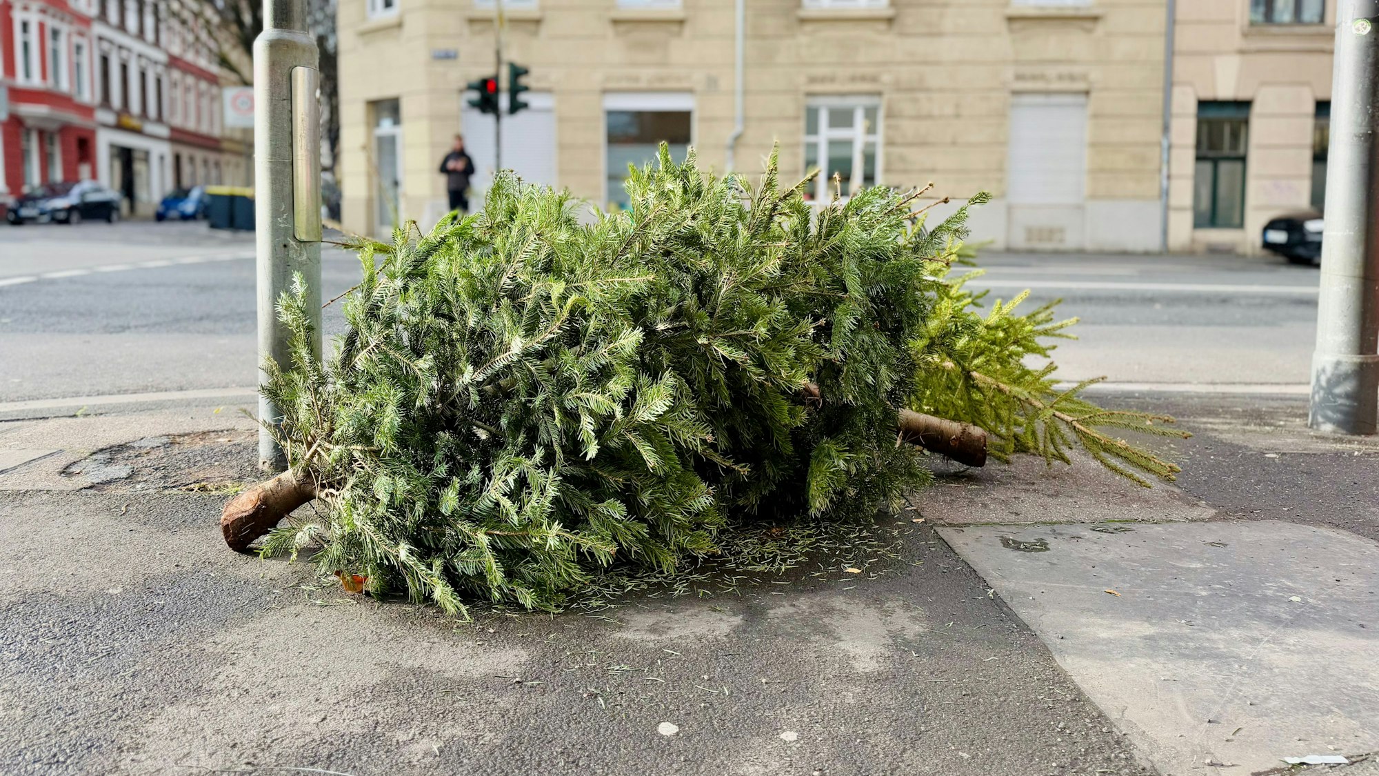 In der Niehler Straße liegen zwei Tannenbäume auf dem Gehweg.