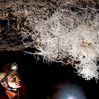 Ein Mann mit Helm und Stirnlampe schaut auf ein Gewirr aus weißen Fäden, die in einer dunklen Höhle von der Decke hängen. Das Gebilde nennt sich Eisenblüte.