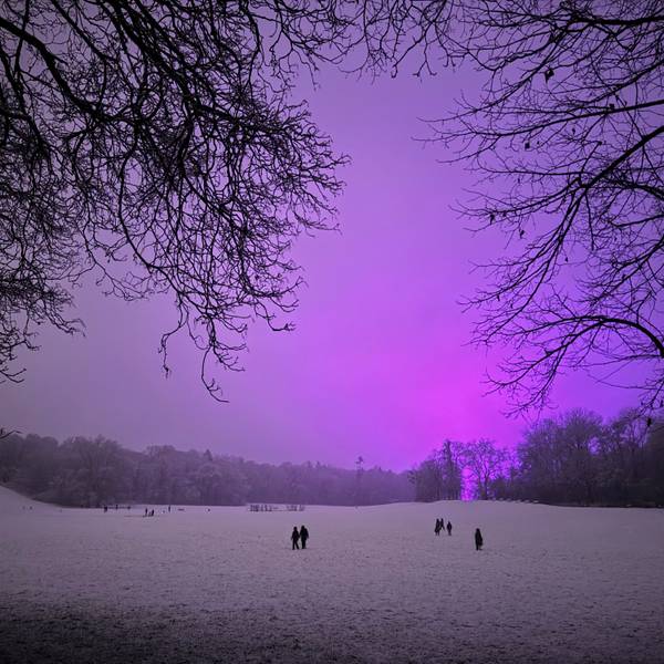 08.01.2025, Köln: Vom Schnee bedeckt sind die Wiesen im Beethovenpark. Am Abend hat es in der Stadt begonnen, zu schneien. Am Himmel wird die violette Beleuchtung auf den Trainingsplätzen des Fußballclubs 1. FC Köln reflektiert, welche dort das Rasenwachstum fördern soll. Foto: Matthias Heinekamp
