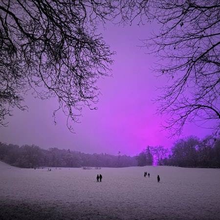 08.01.2025, Köln: Vom Schnee bedeckt sind die Wiesen im Beethovenpark. Am Abend hat es in der Stadt begonnen, zu schneien. Am Himmel wird die violette Beleuchtung auf den Trainingsplätzen des Fußballclubs 1. FC Köln reflektiert, welche dort das Rasenwachstum fördern soll. Foto: Matthias Heinekamp