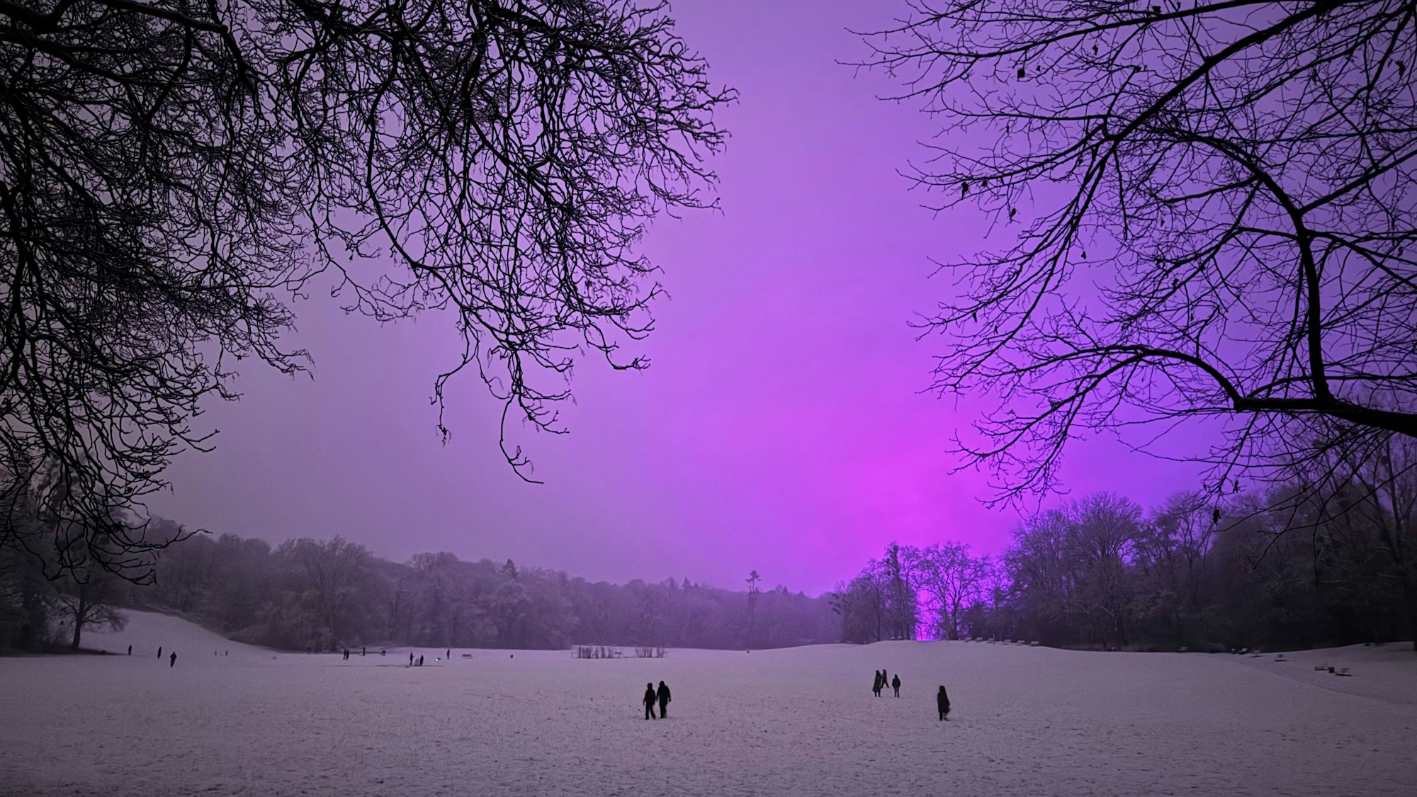 08.01.2025, Köln: Vom Schnee bedeckt sind die Wiesen im Beethovenpark. Am Abend hat es in der Stadt begonnen, zu schneien. Am Himmel wird die violette Beleuchtung auf den Trainingsplätzen des Fußballclubs 1. FC Köln reflektiert, welche dort das Rasenwachstum fördern soll.