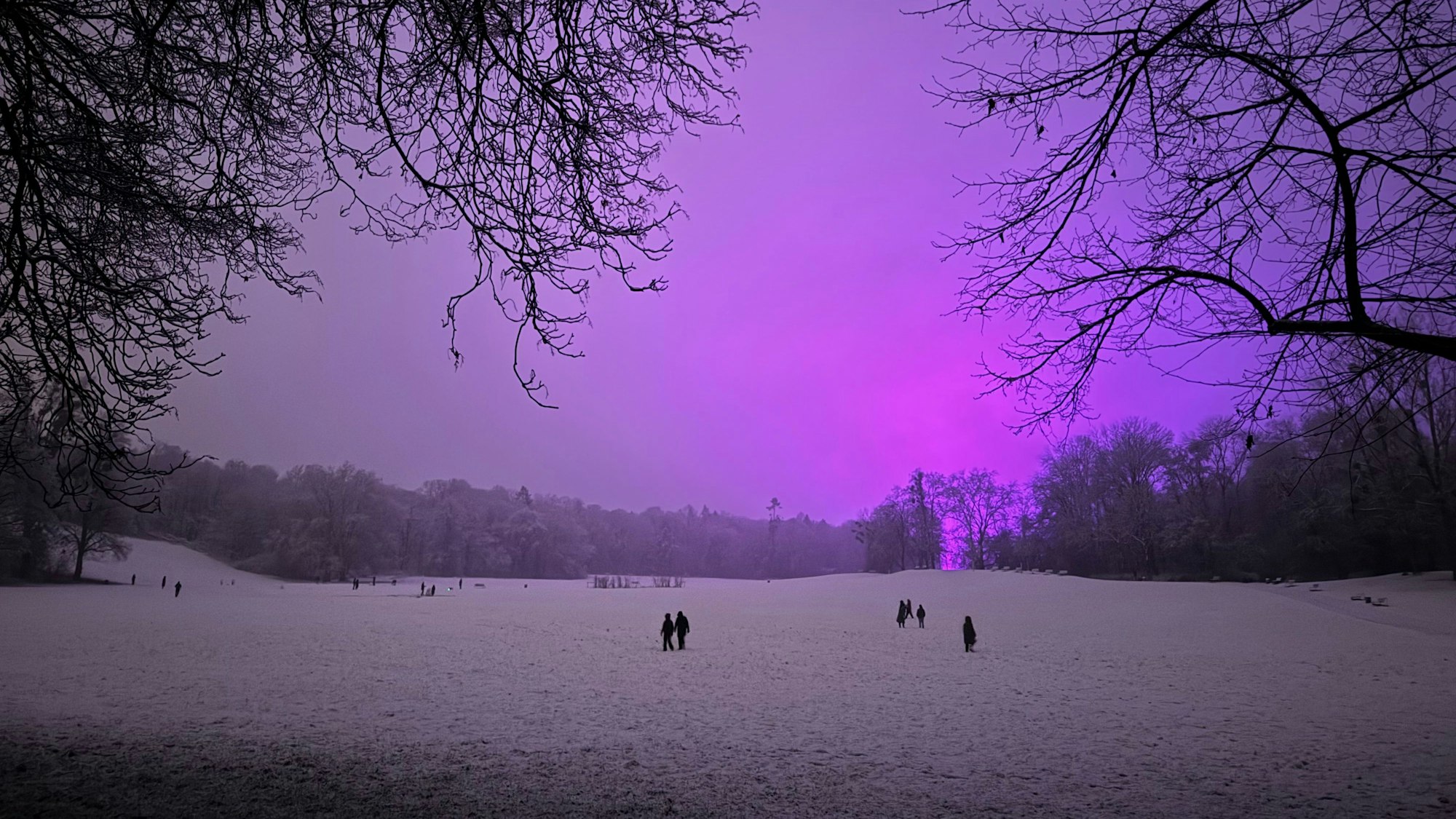 08.01.2025, Köln: Vom Schnee bedeckt sind die Wiesen im Beethovenpark. Am Abend hat es in der Stadt begonnen, zu schneien. Am Himmel wird die violette Beleuchtung auf den Trainingsplätzen des Fußballclubs 1. FC Köln reflektiert, welche dort das Rasenwachstum fördern soll. Foto: Matthias Heinekamp