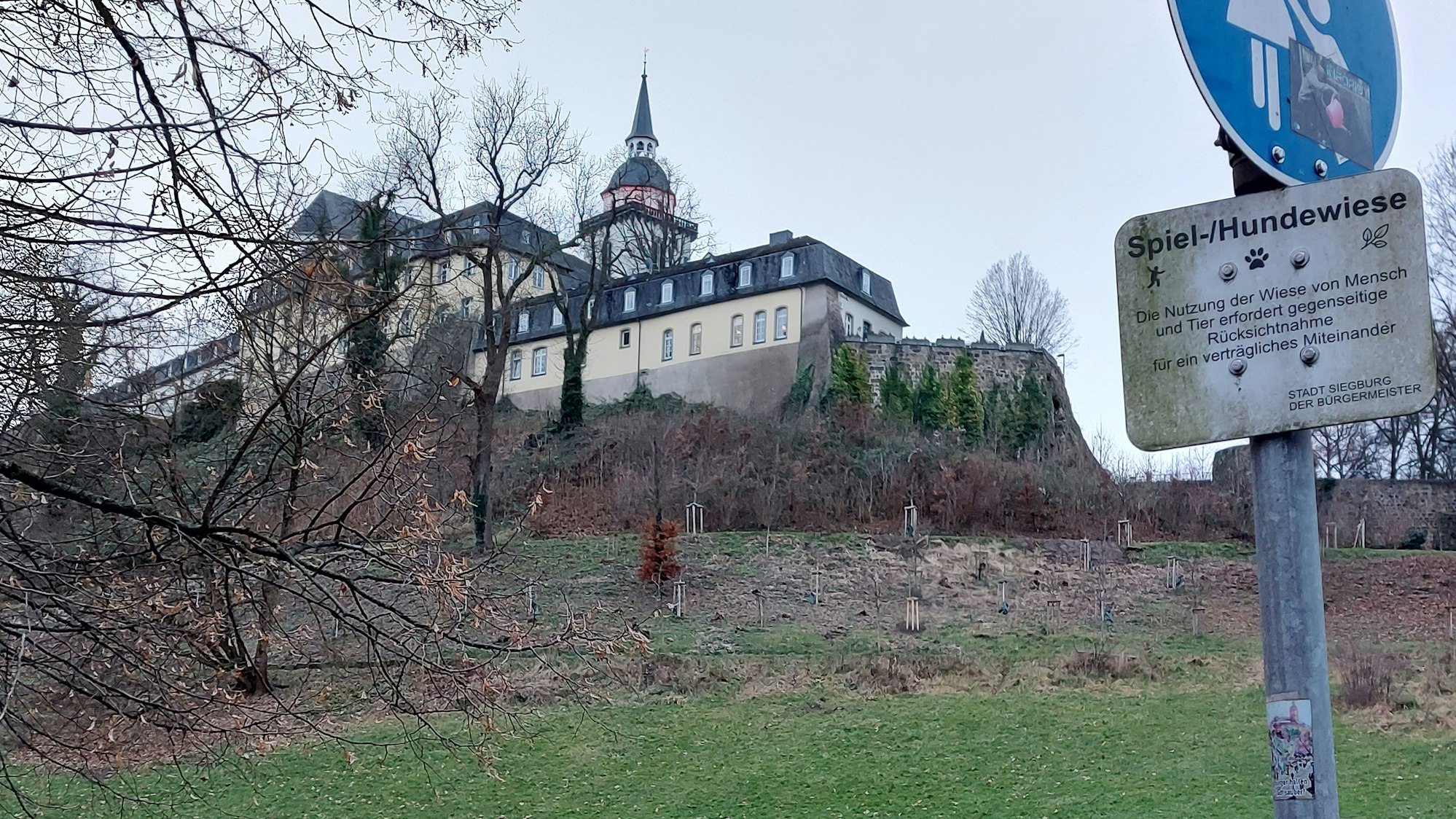 Eine Wiese am Hang, auf der Kuppe sind die Gebäude eines alten Klosters zu sehen. Ein Schild weist die Fläche als Spiel- und Hundewiese aus.