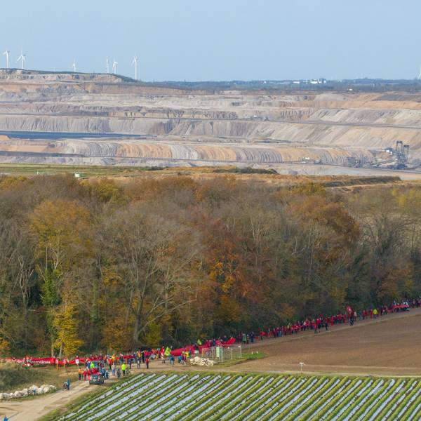 Umweltschützer protestieren im Bereich des Hambacher Forstes gegen geplante Rodungen.