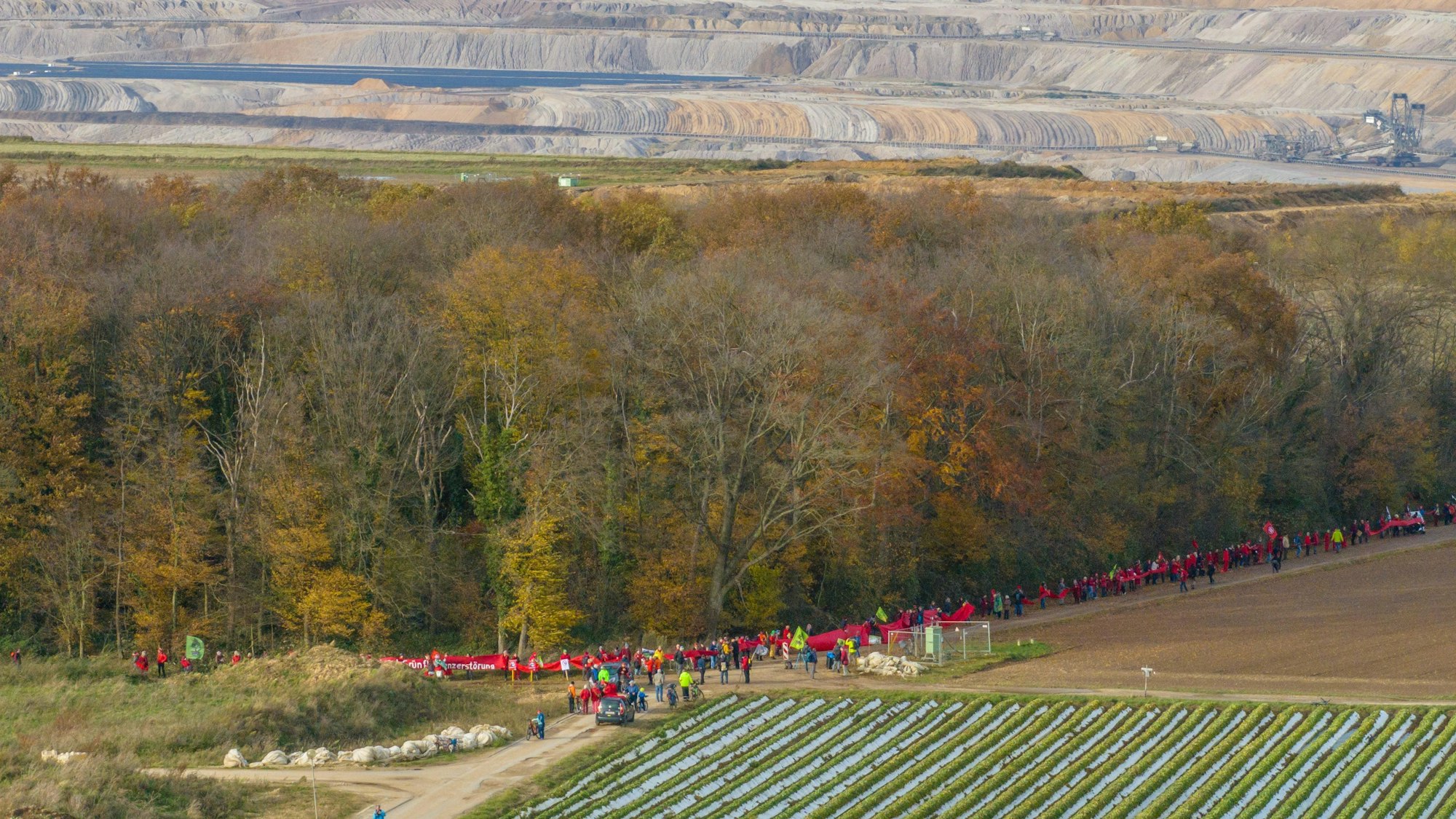 Umweltschützer protestieren im Bereich des Hambacher Forstes gegen geplante Rodungen.