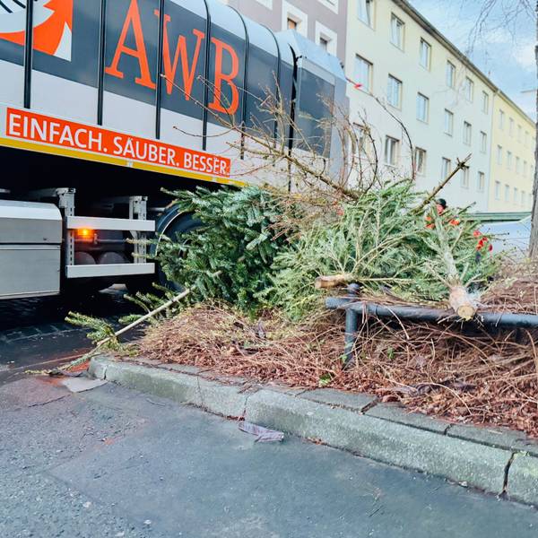 Mehrere Tannenbäume liegen am Straßenrand, daneben parkt ein Müllfahrzeug der AWB.