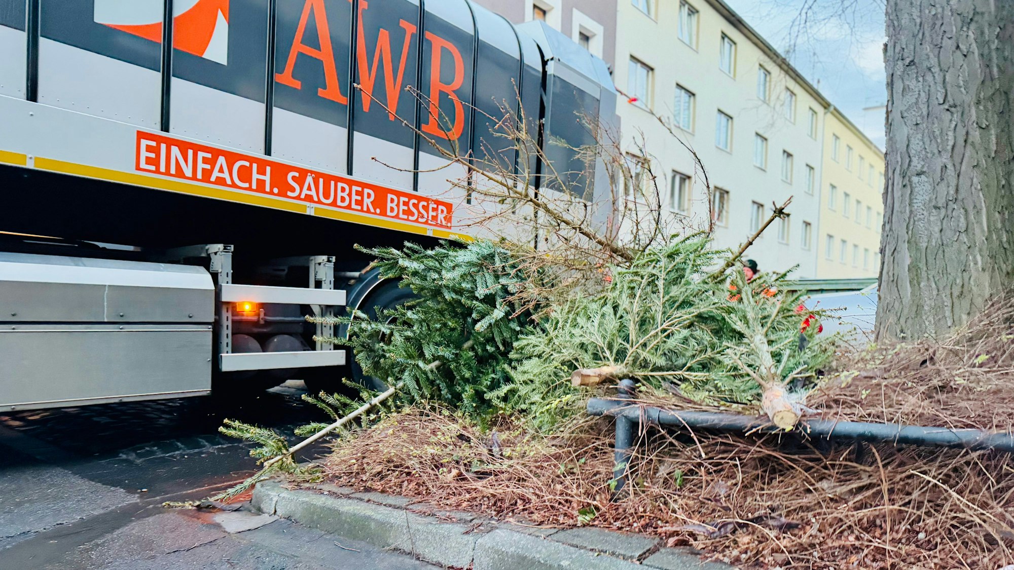 Mehrere Tannenbäume liegen am Straßenrand, daneben parkt ein Müllfahrzeug der AWB.