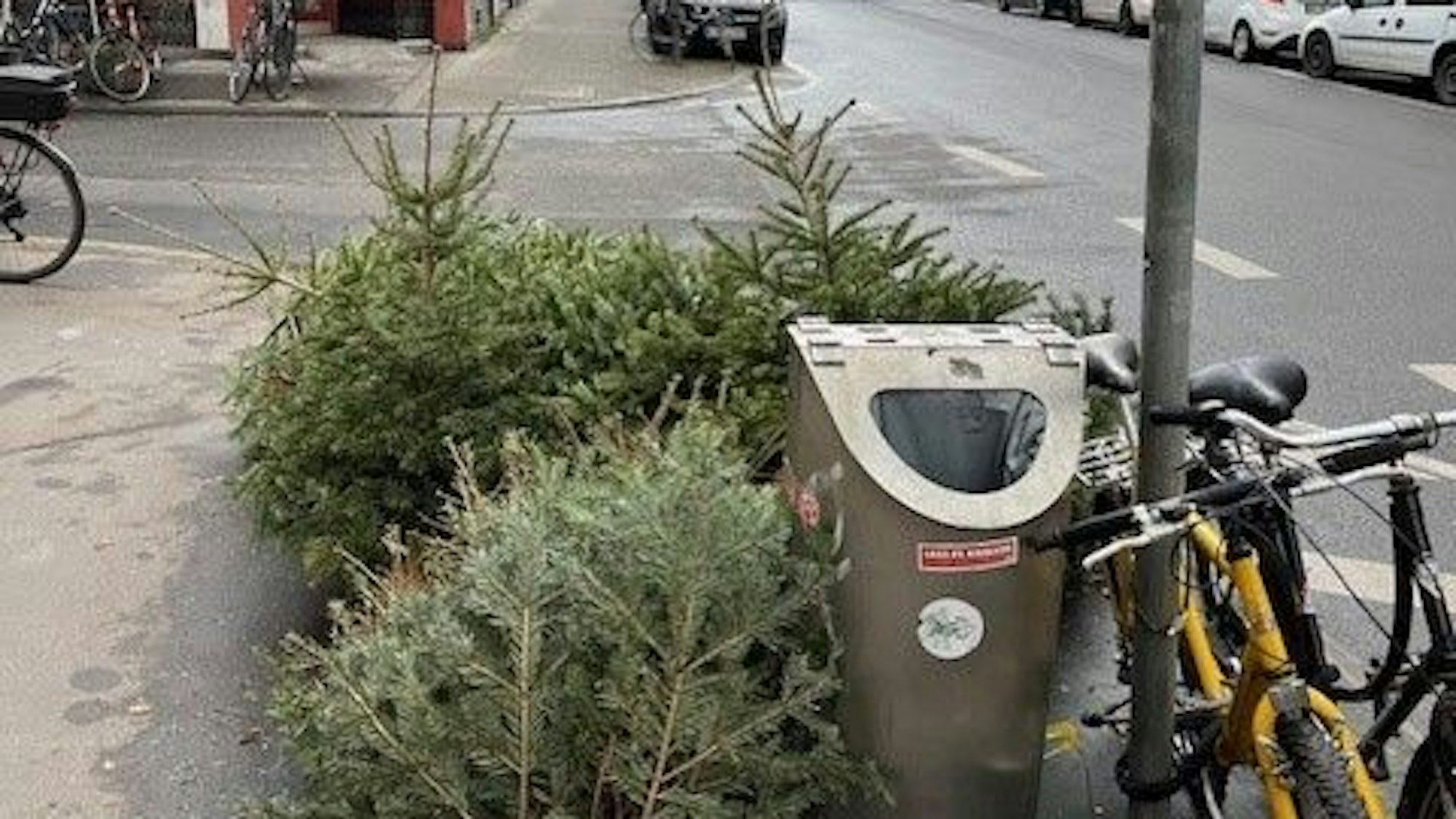 An einem öffentlichen Mülleimer an einer Straßenecke in Sülz stapeln sich sieben Tannebäume.