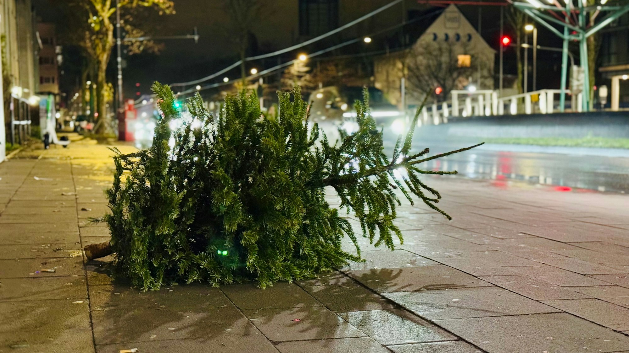 Vor der Haltestelle Amsterdamer Straße / Gürtel in Niehl liegt ein vereinzelter kleiner Tannenbaum