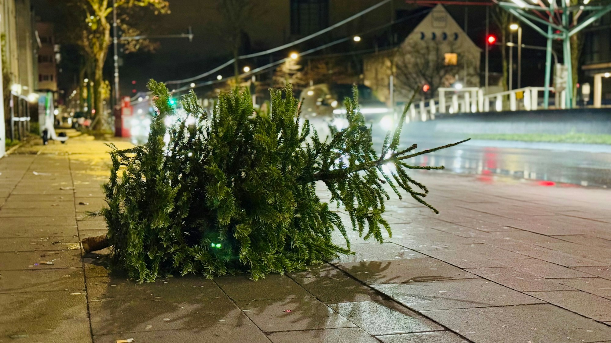 Vor der Haltestelle Amsterdamer Straße / Gürtel in Niehl liegt ein vereinzelter kleiner Tannenbaum