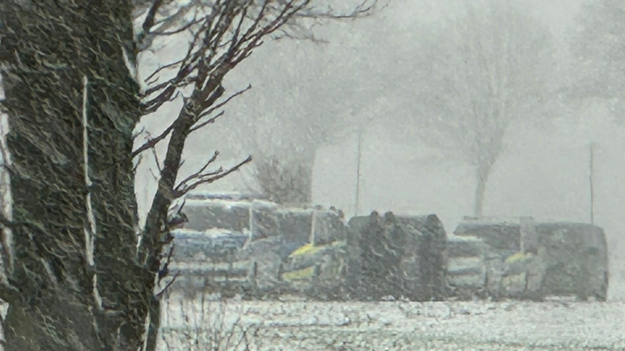 Das Bild zeigt mehrere Polizeifahrzeuge auf einem Feldweg