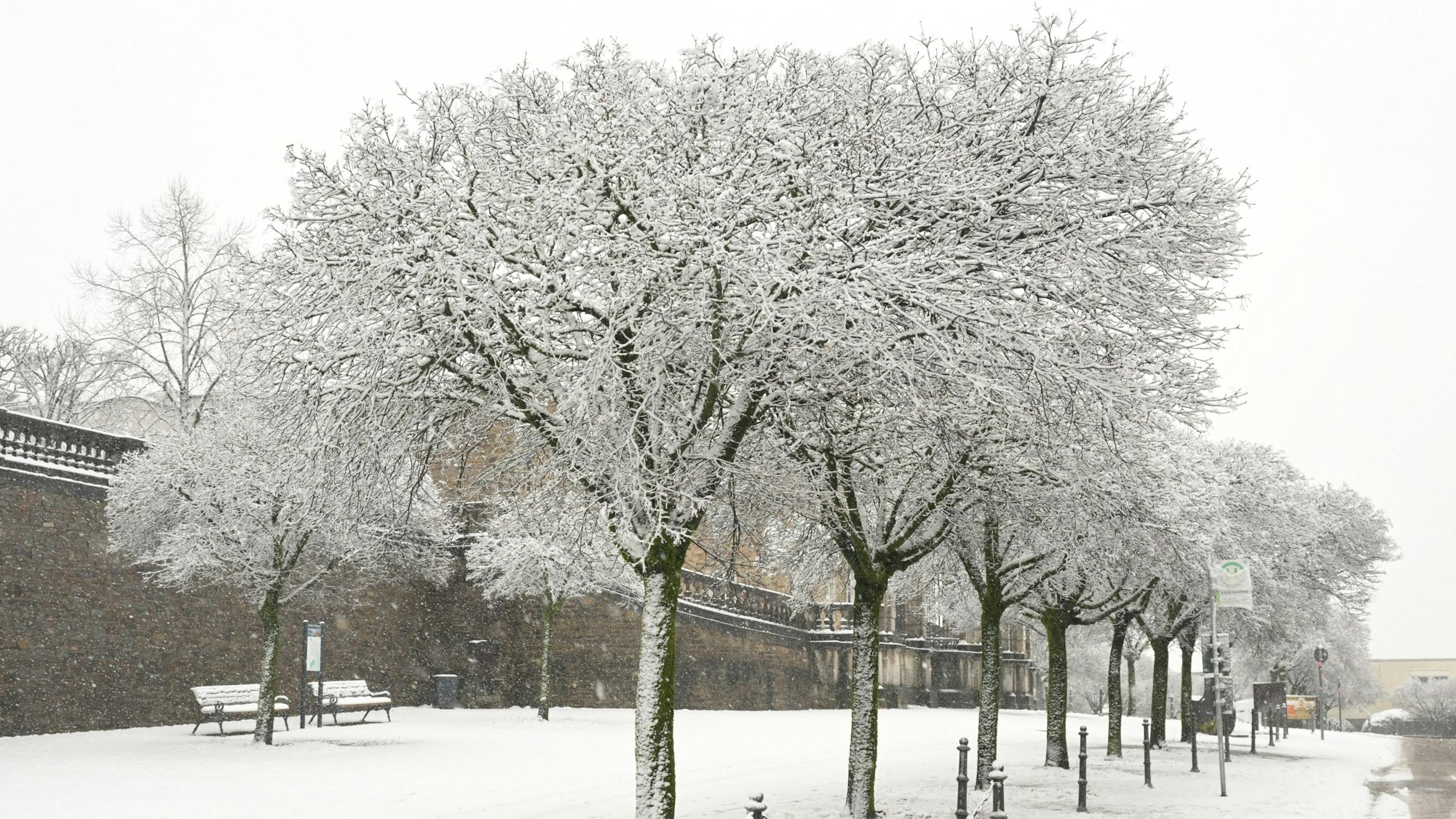 Verschneite Bäume stehen vor der Mauer des Bensberger Schlosses.
