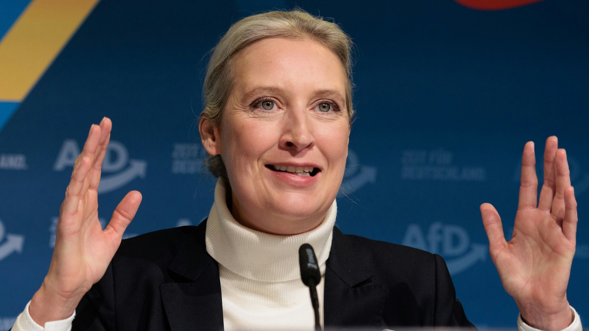 AfD-Chefin Alice Weidel hat in ihrem Gespräch mit Elon Musk den Nationalsozialisten Adolf Hitler als „Kommunisten“ bezeichnet.