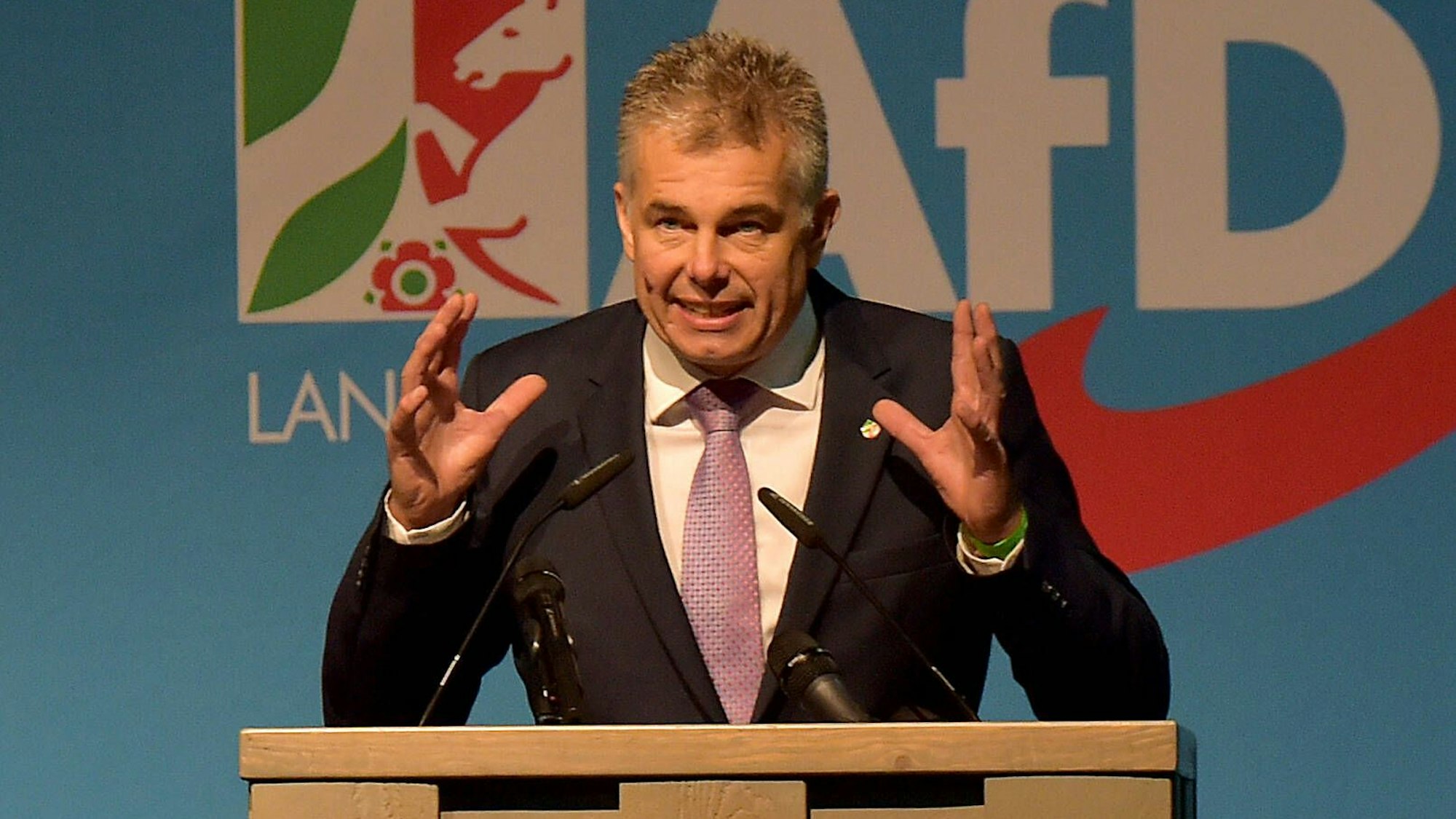 Thomas Röckemann ist am Rednerpult zu sehen, dahinter das AfD-Logo.