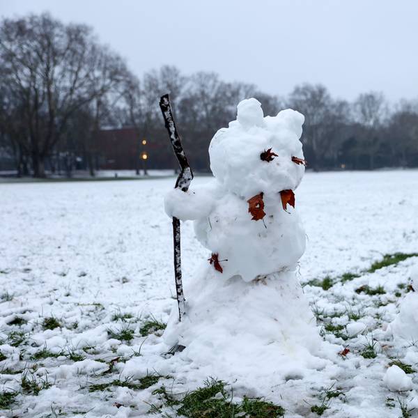 09.01.2025
Köln:
Schnee in Köln
Grüngürtel mit Schneemann
Foto: Martina Goyert