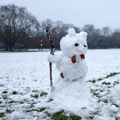 09.01.2025
Köln:
Schnee in Köln
Grüngürtel mit Schneemann
Foto: Martina Goyert