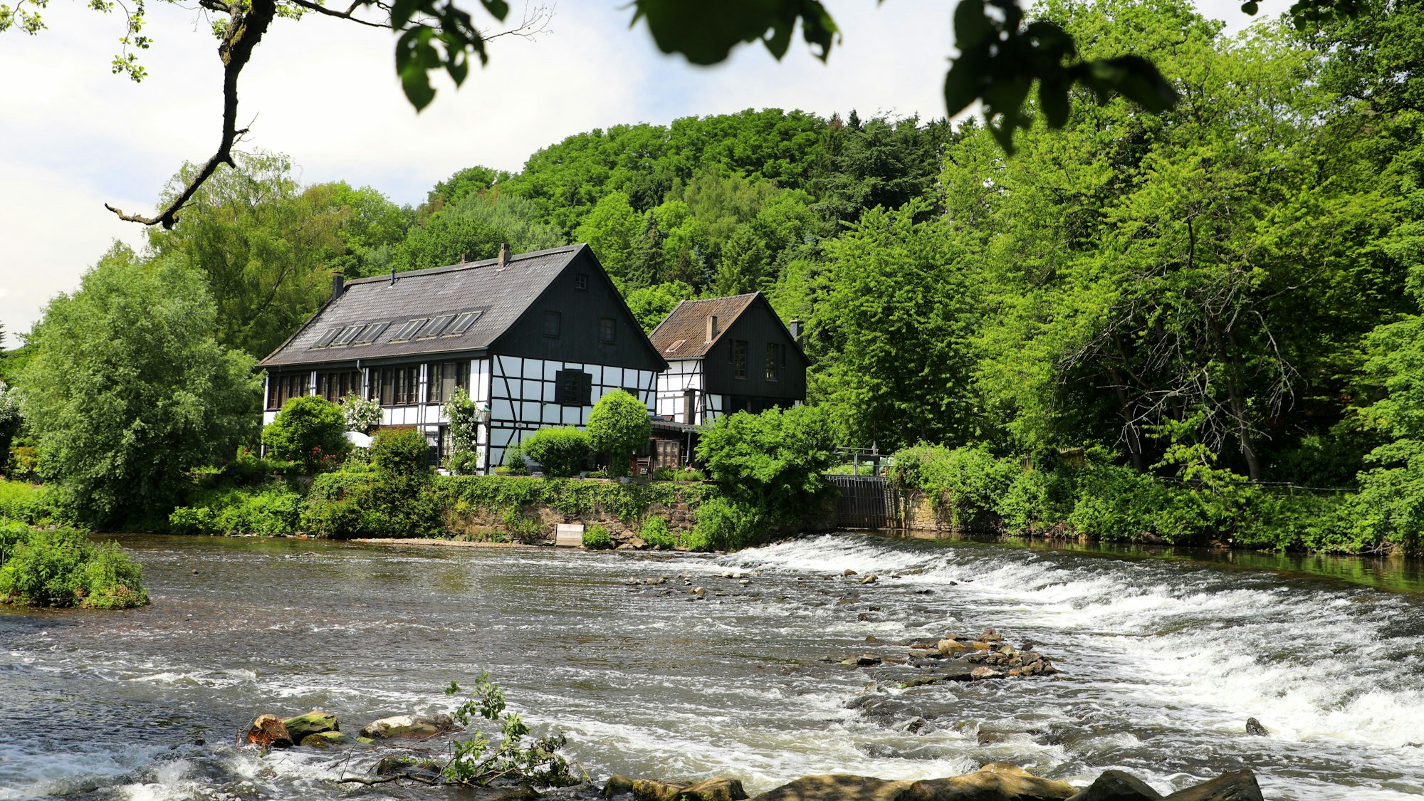 Die Wupper fließt in einer Stromschnelle am Wipperkotten bei Leichlingen vorbei.