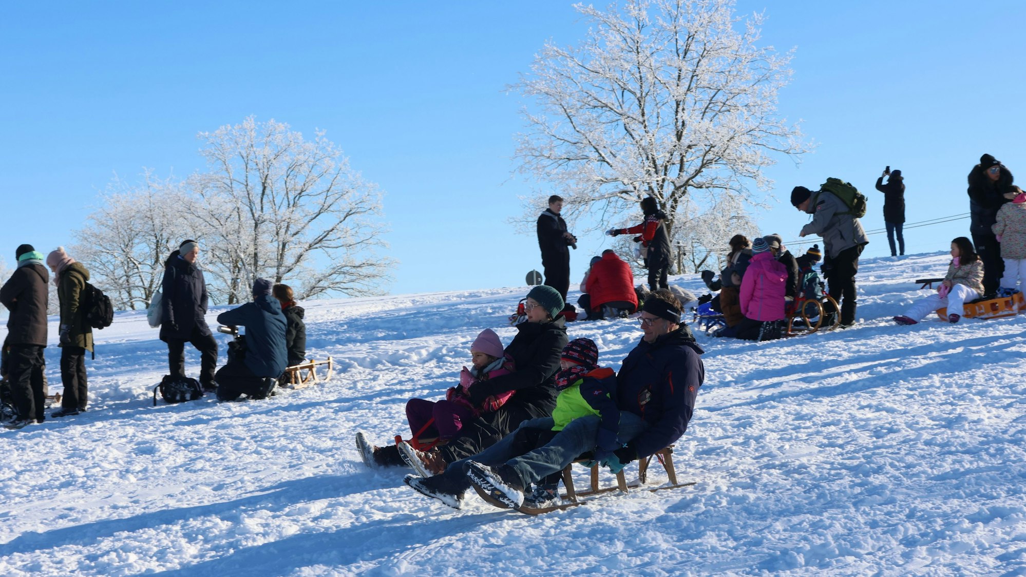 Bild von Menschen, die mit Schlitten fahren.