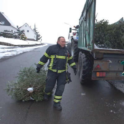 Das Foto zeigt zwei Feuerwehrmänner, die ausgediente Weinachtsbäume auf einen Anhänger laden.