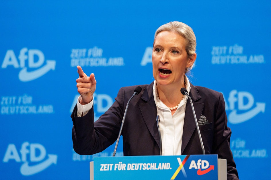 Alice Weidel: Kritik an „Nazi-Rede“ von AfD-Chefin – Freude in Moskau | Kölner Stadt-Anzeiger