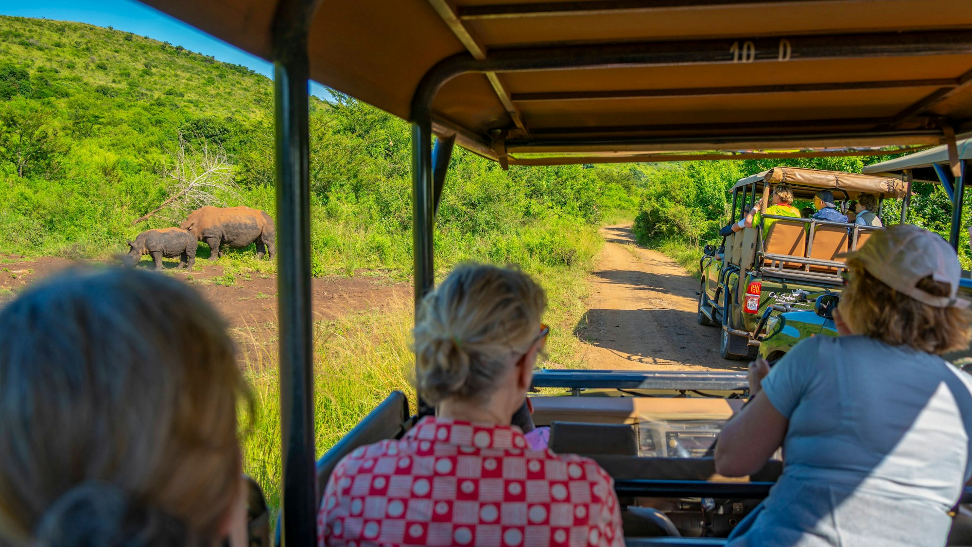 Touristen auf Safari.