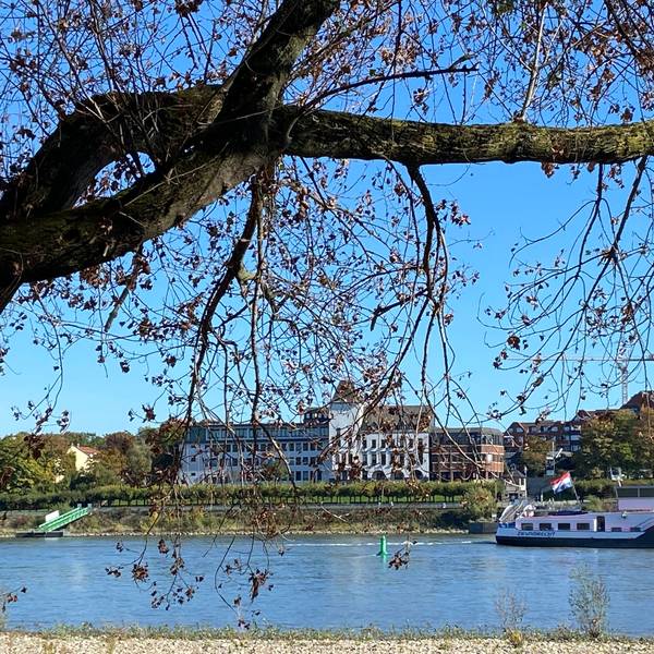 Blick auf den Rhein und das Porzer Rathaus am dahinterliegenden Ufer