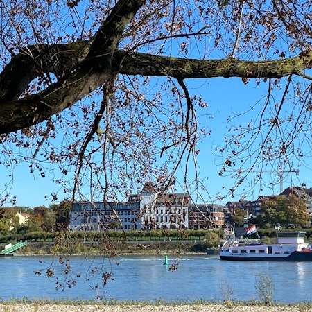 Blick auf den Rhein und das Porzer Rathaus am dahinterliegenden Ufer