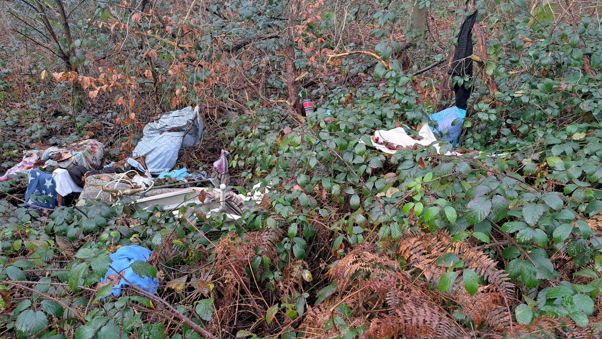 Im Gebüsch liegen Kleidungsstücke, Sperrmüll und Mülltüten.