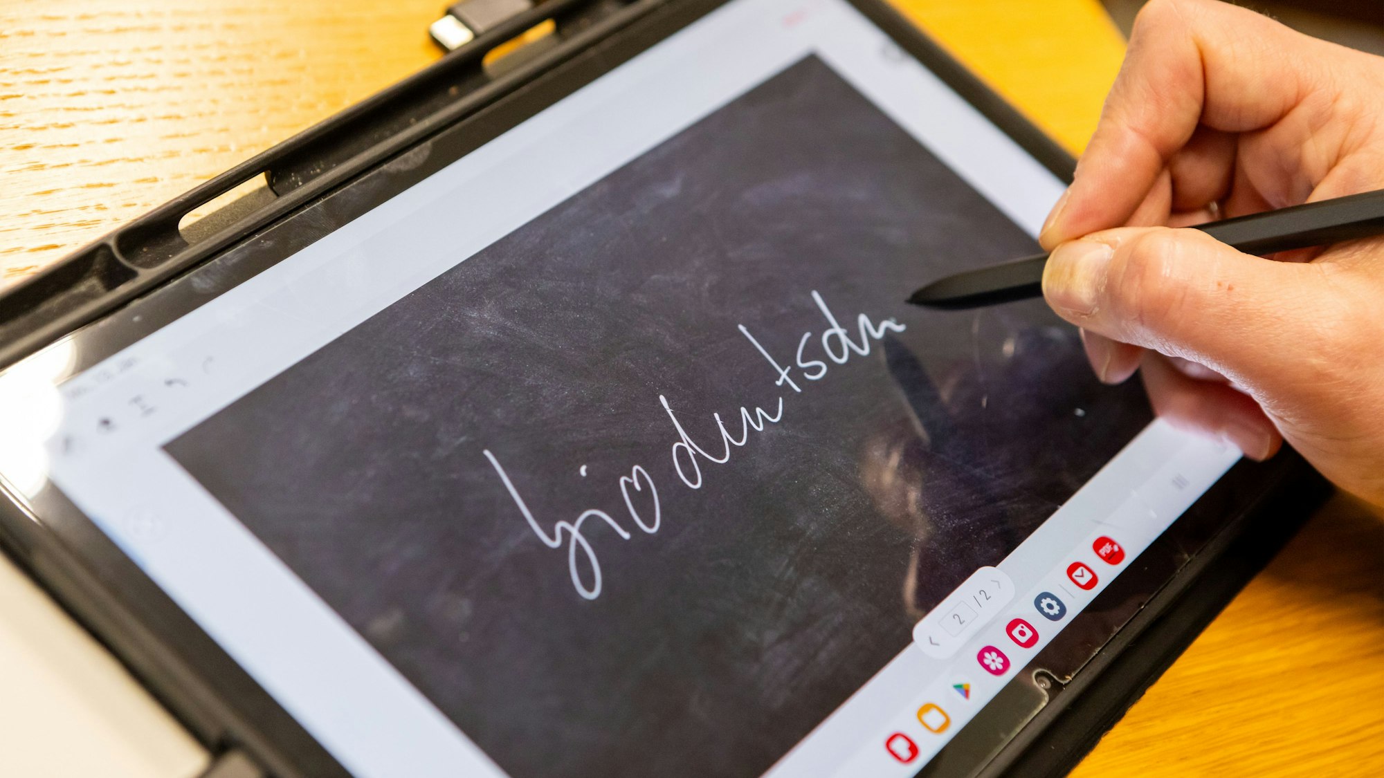 Eine Person schreibt mit einem Stift das Wort „biodeutsch“ auf ein Tablet.