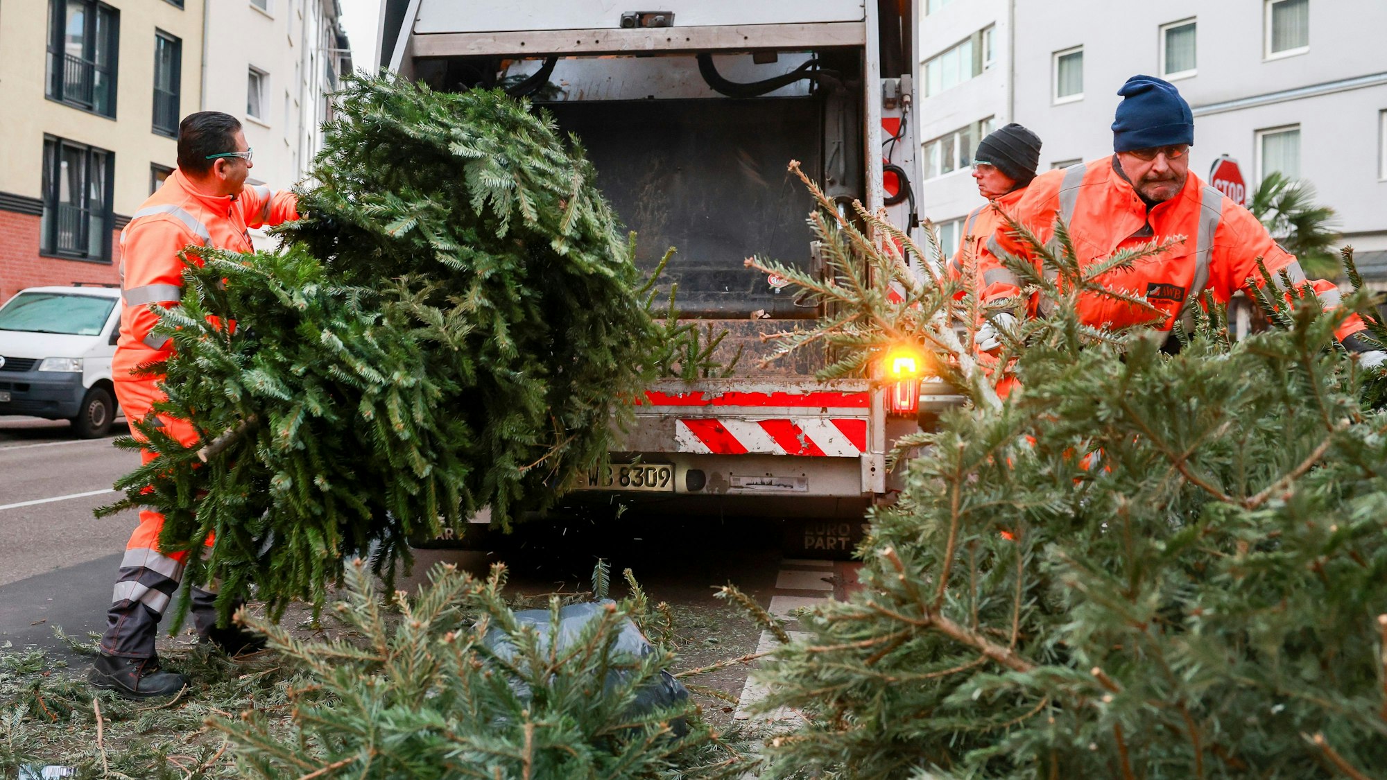 Drei Mülllader laden Weihnachtsbäume in ein Müllfahrzeug.