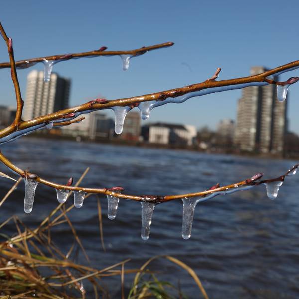13.01.2024, Köln: Frostige Temperaturen am Rhein. Foto: Arton Krasniqi