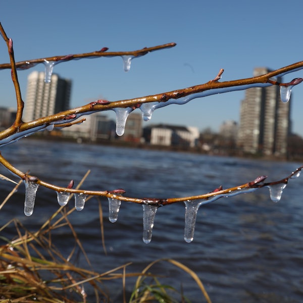 13.01.2024, Köln: Frostige Temperaturen am Rhein. Foto: Arton Krasniqi