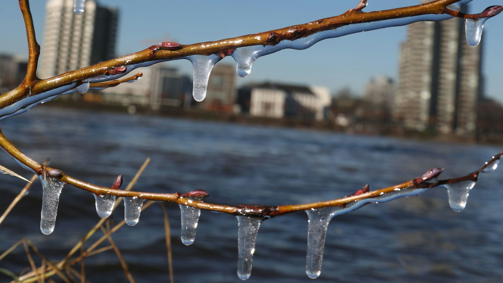 13.01.2024, Köln: Frostige Temperaturen am Rhein. Foto: Arton Krasniqi
