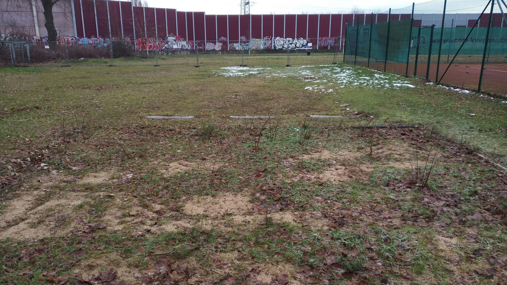 Die Weitsprunganlage des MTV Köln ist zugewuchert.