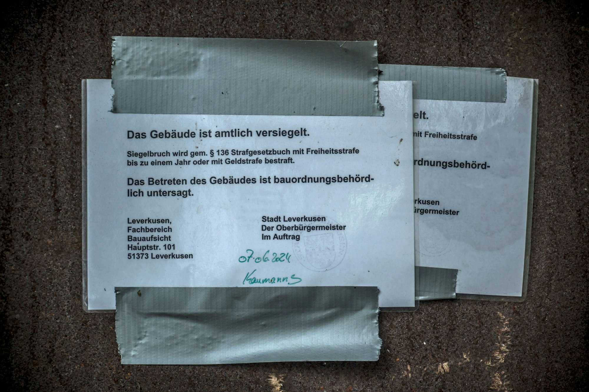 Um den Bunker in der Niederfeldstraße wird gerodet, er soll jetzt in das "Businesszentrum" einbezogen werden. Foto: Ralf Krieger