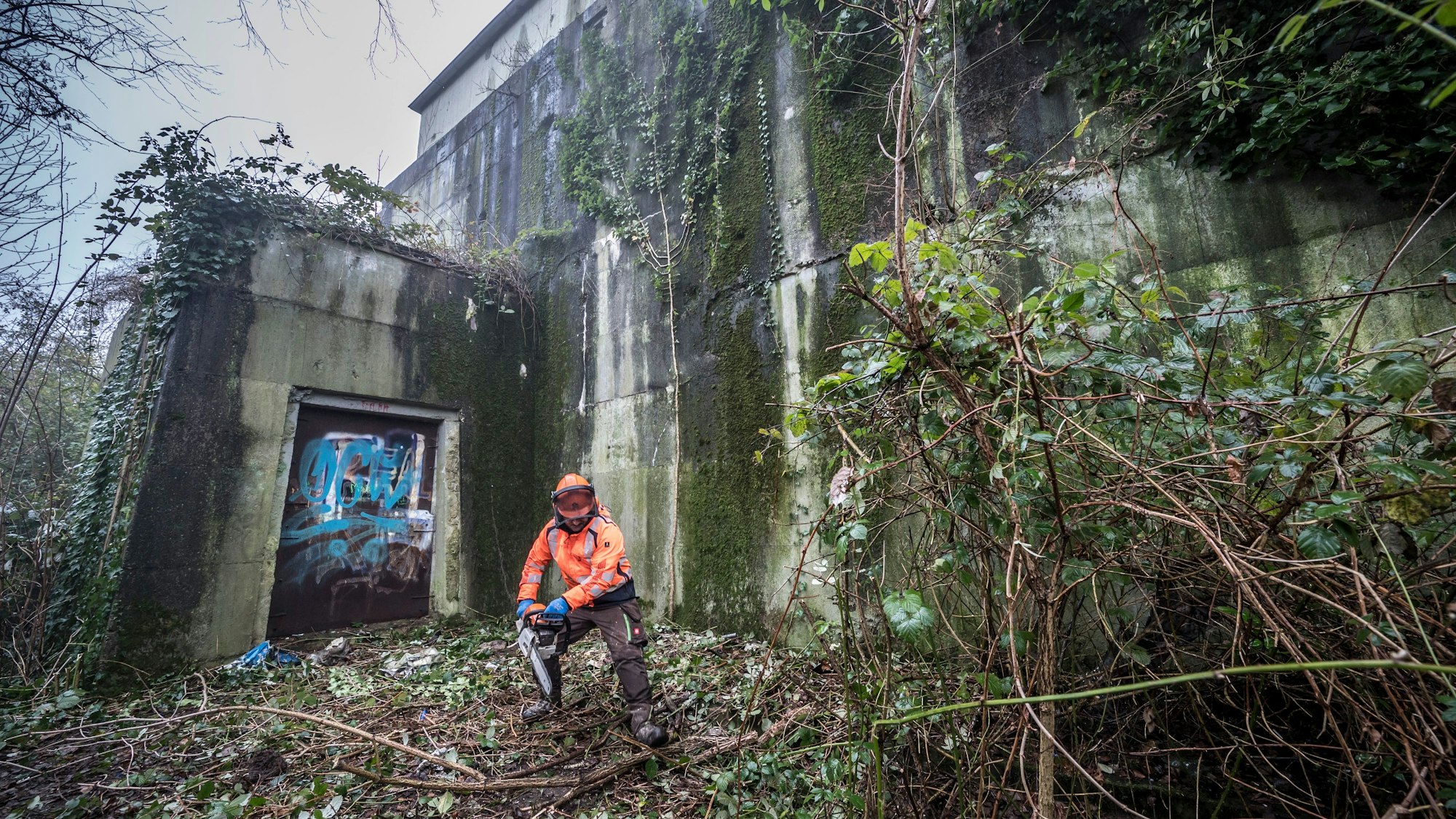 Um den Bunker in der Niederfeldstraße wird gerodet, er soll jetzt in das "Businesszentrum" einbezogen werden. Foto: Ralf Krieger