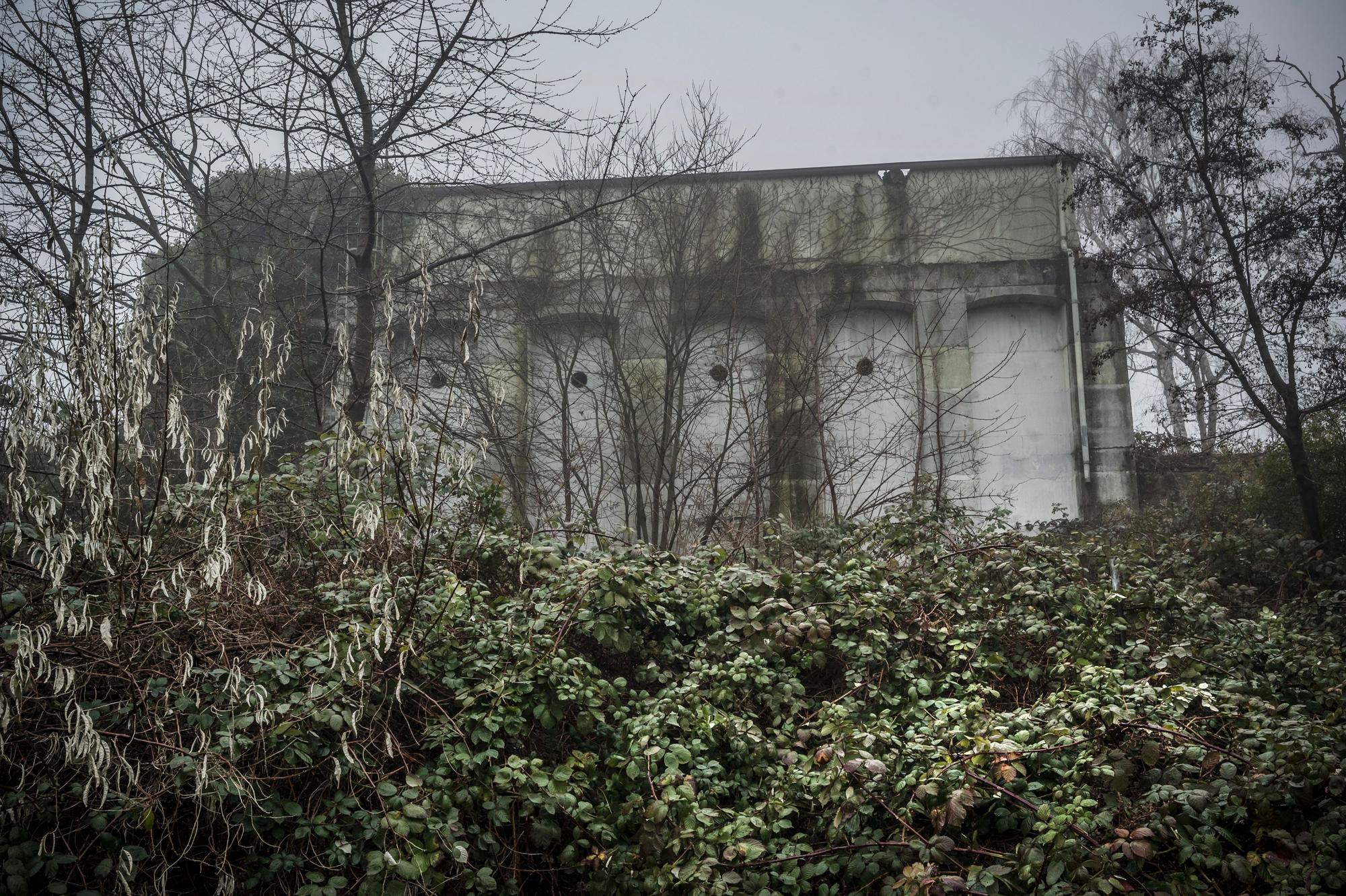 Um den Bunker in der Niederfeldstraße wird gerodet, er soll jetzt in das "Businesszentrum" einbezogen werden. Foto: Ralf Krieger