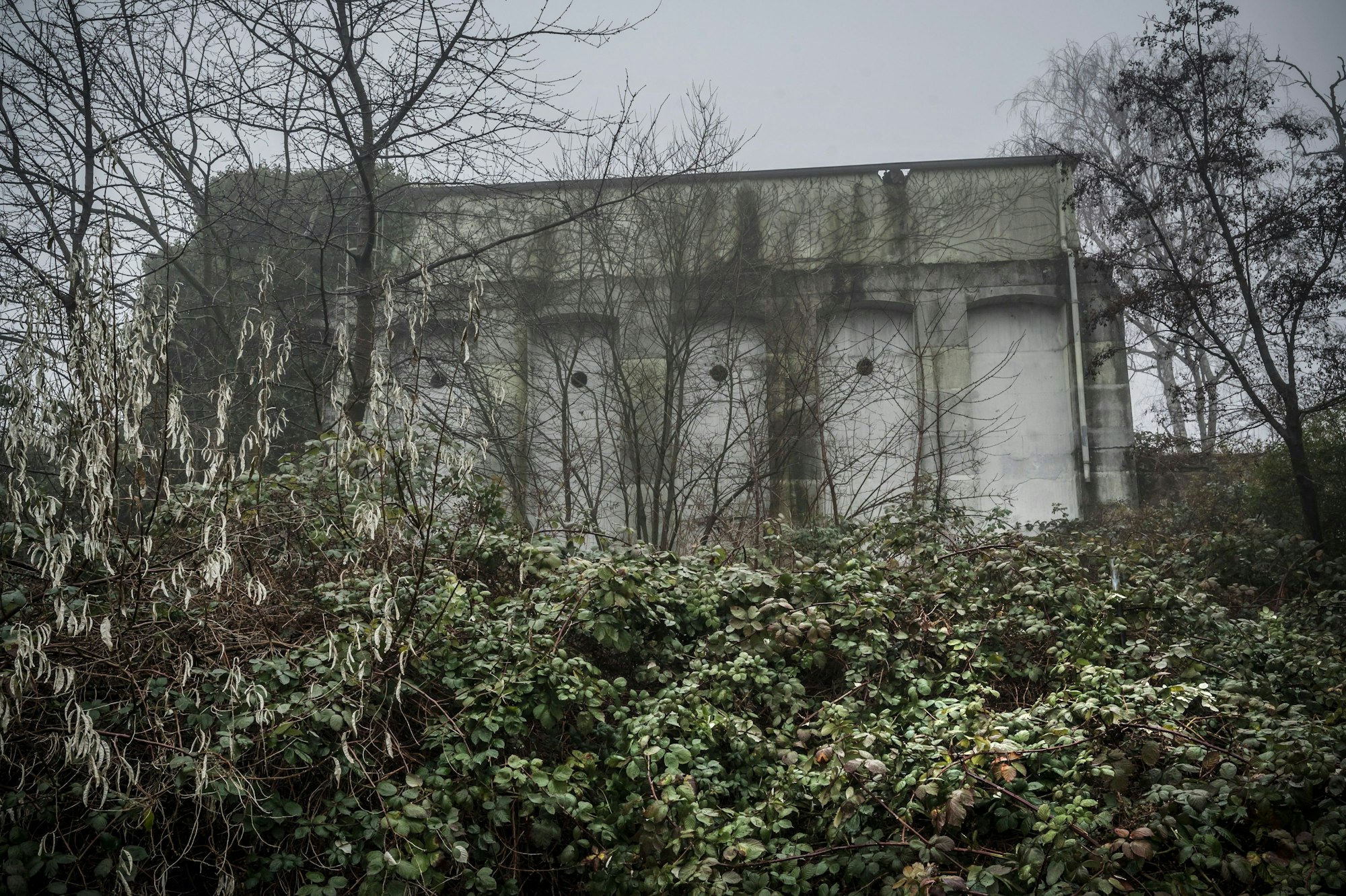 Um den Bunker in der Niederfeldstraße wird gerodet, er soll jetzt in das "Businesszentrum" einbezogen werden. Foto: Ralf Krieger