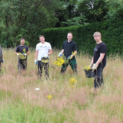 Sieben Mitarbeiter stehen auf der Wiese, halten Eimer mit Unkraut in der Hand.