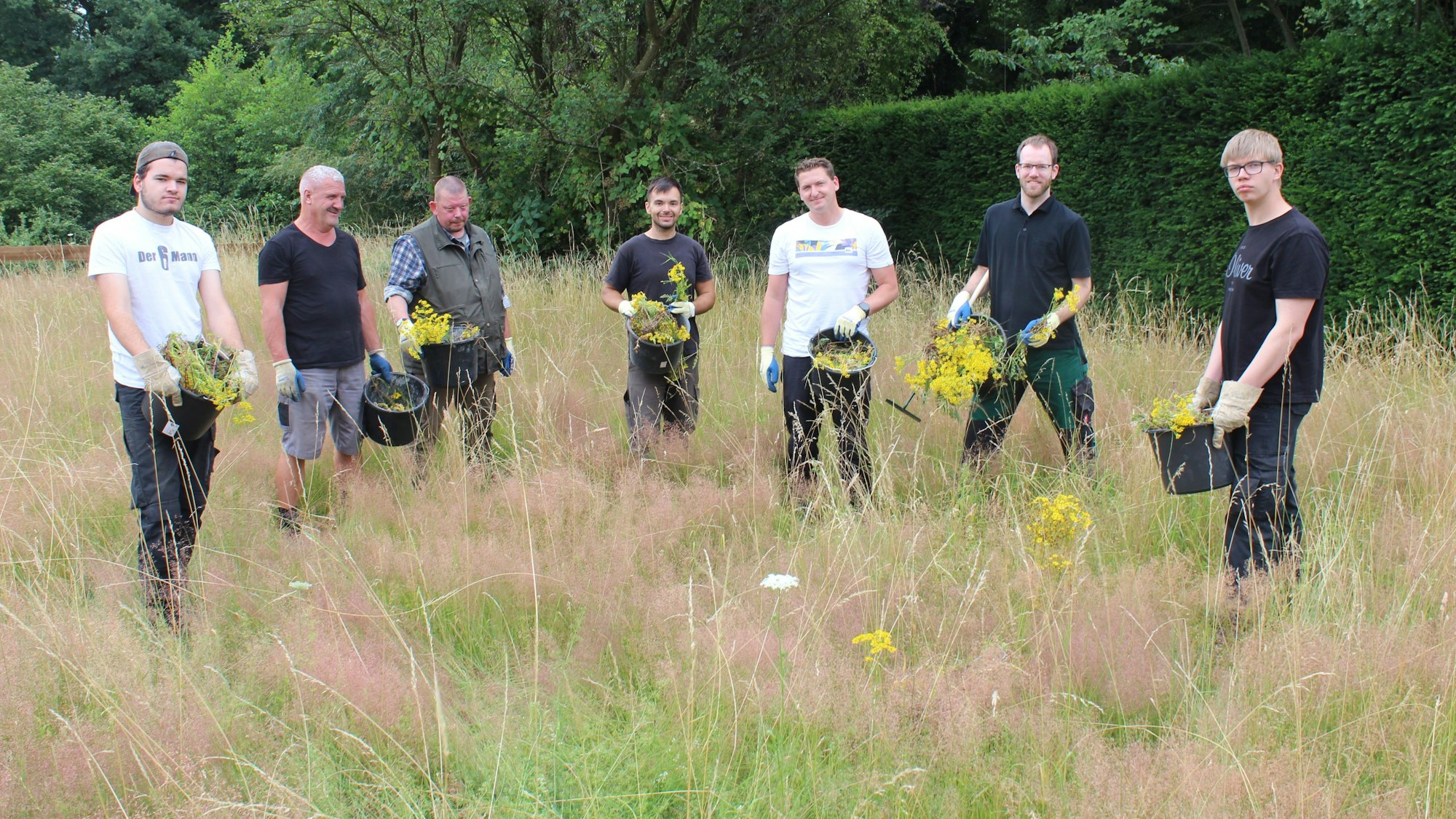Sieben Männer stehen auf einer wilden Blumenwiese.