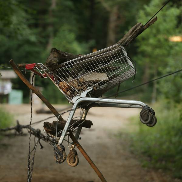 Im Hambacher Forst hängt ein Einkaufswagen über einem Waldweg, um den Weg zu versperren. Die Polizei hatte bei einem größeren Einsatz im Hambacher Forst mehrere Aufbauten auf Wegen in dem Wald beseitigt. Der Wald war 2018 zum Symbol des Kampfes zwischen Klimaschützern und Kohlebranche geworden. +++ dpa-Bildfunk +++