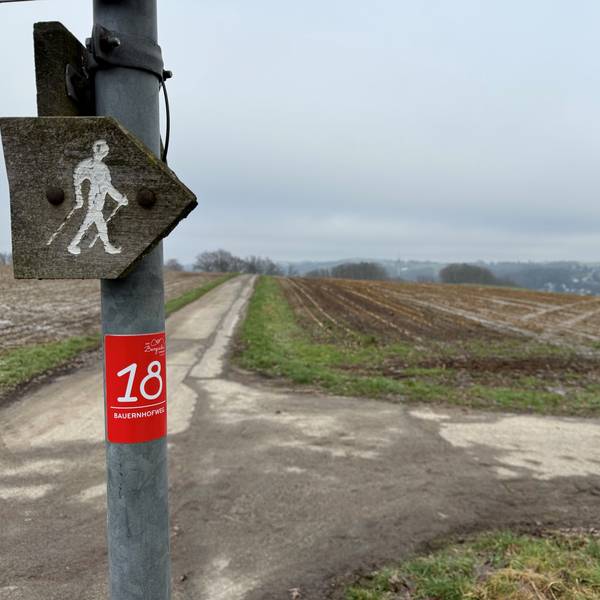 Der Bauernhofweg in Lohmar.
Auf den Höhnzügen gibt es tolle Weitblicke.