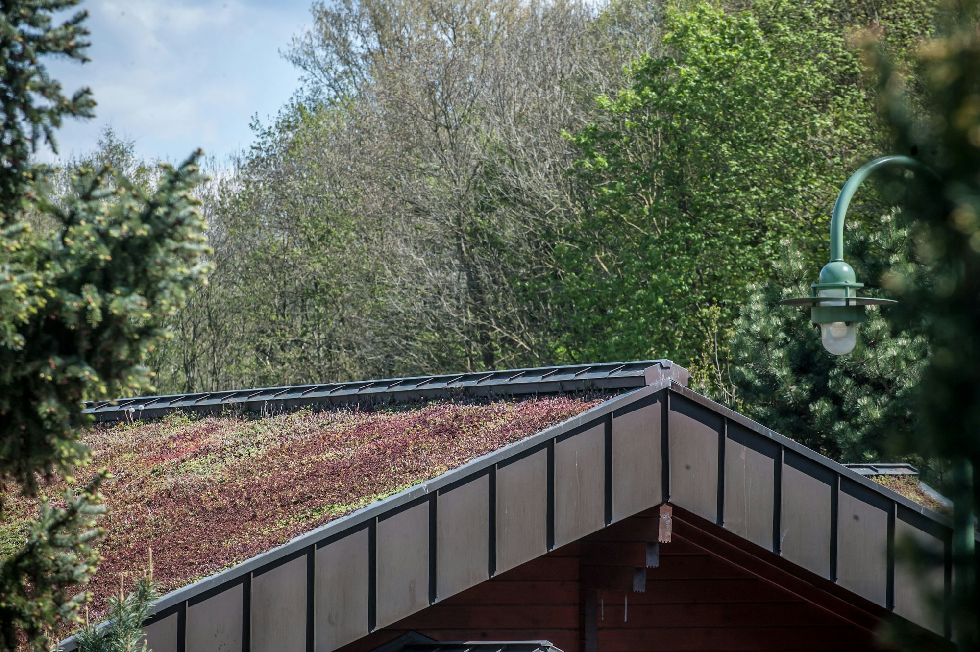 Ein begrüntes Dach in Opladen