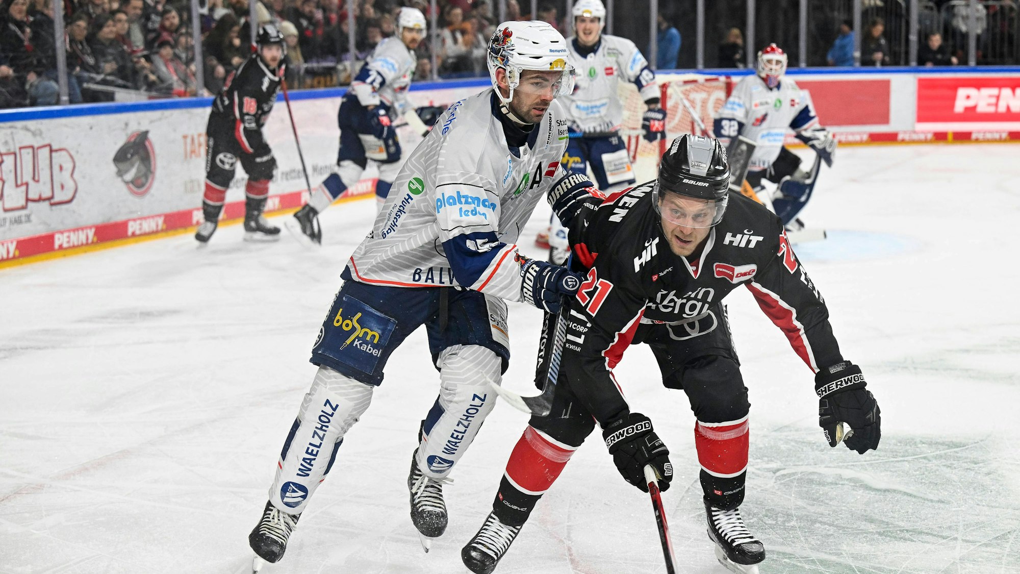 Gegen die Iserlohn Roosters waren die Kölner Haie in eigener Halle chancenlos.