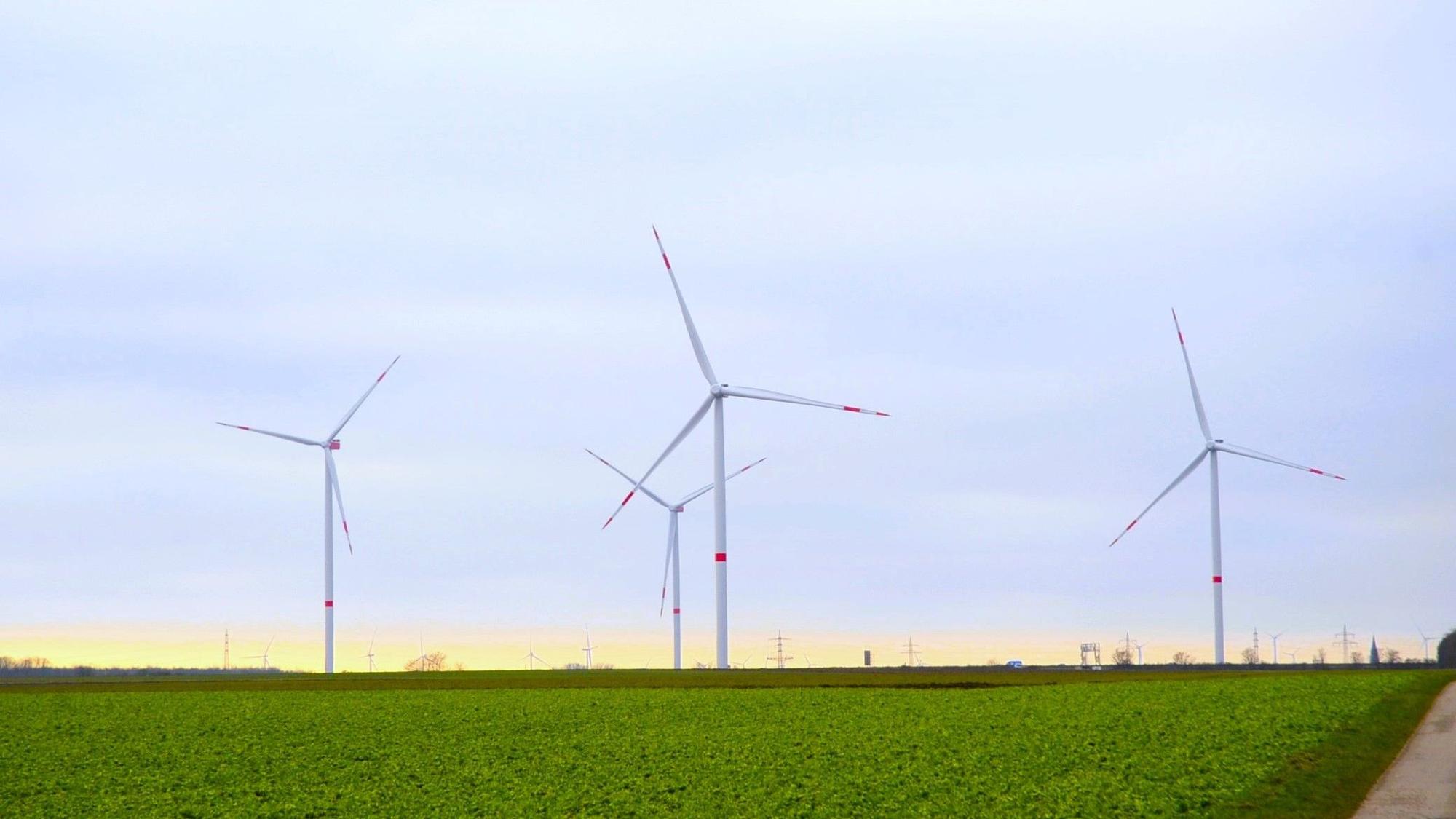 Zu sehen sind vier Windräder auf einer Wiese.