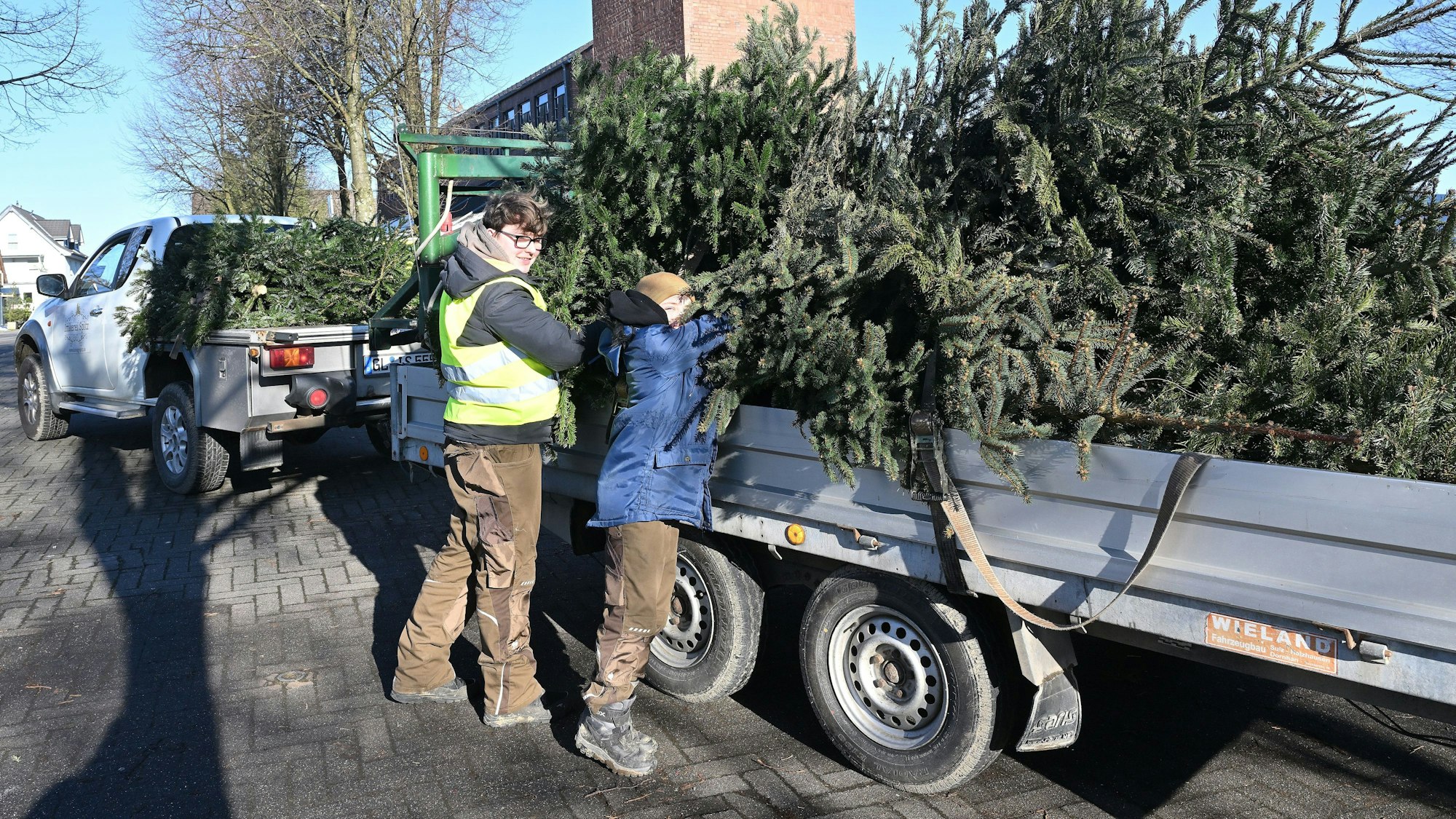 Messdiener sammeln Weihnachtsbäume auf einem Anhänger ein.