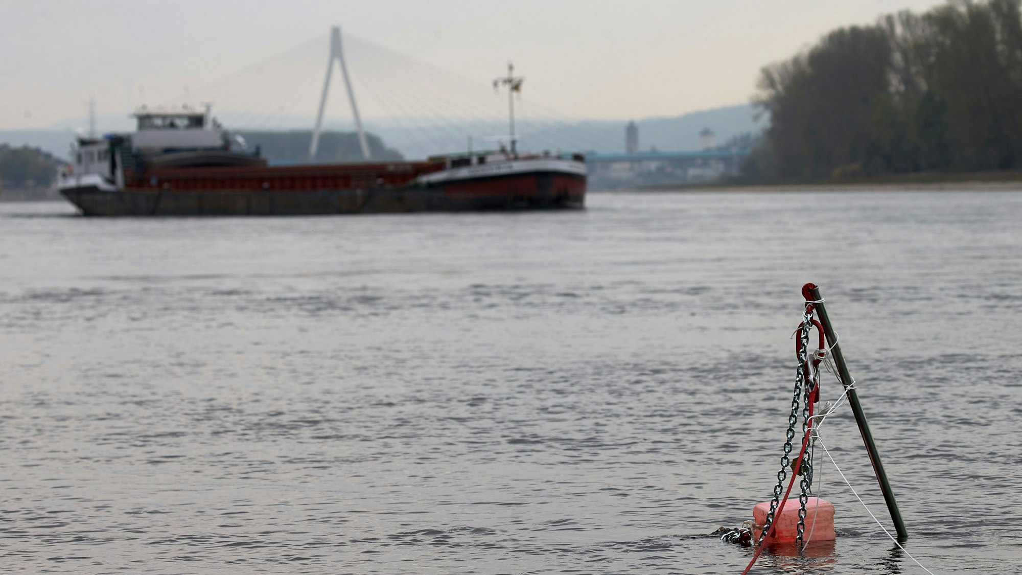 Blick auf den Rhein in Neuwied (Archivfoto).