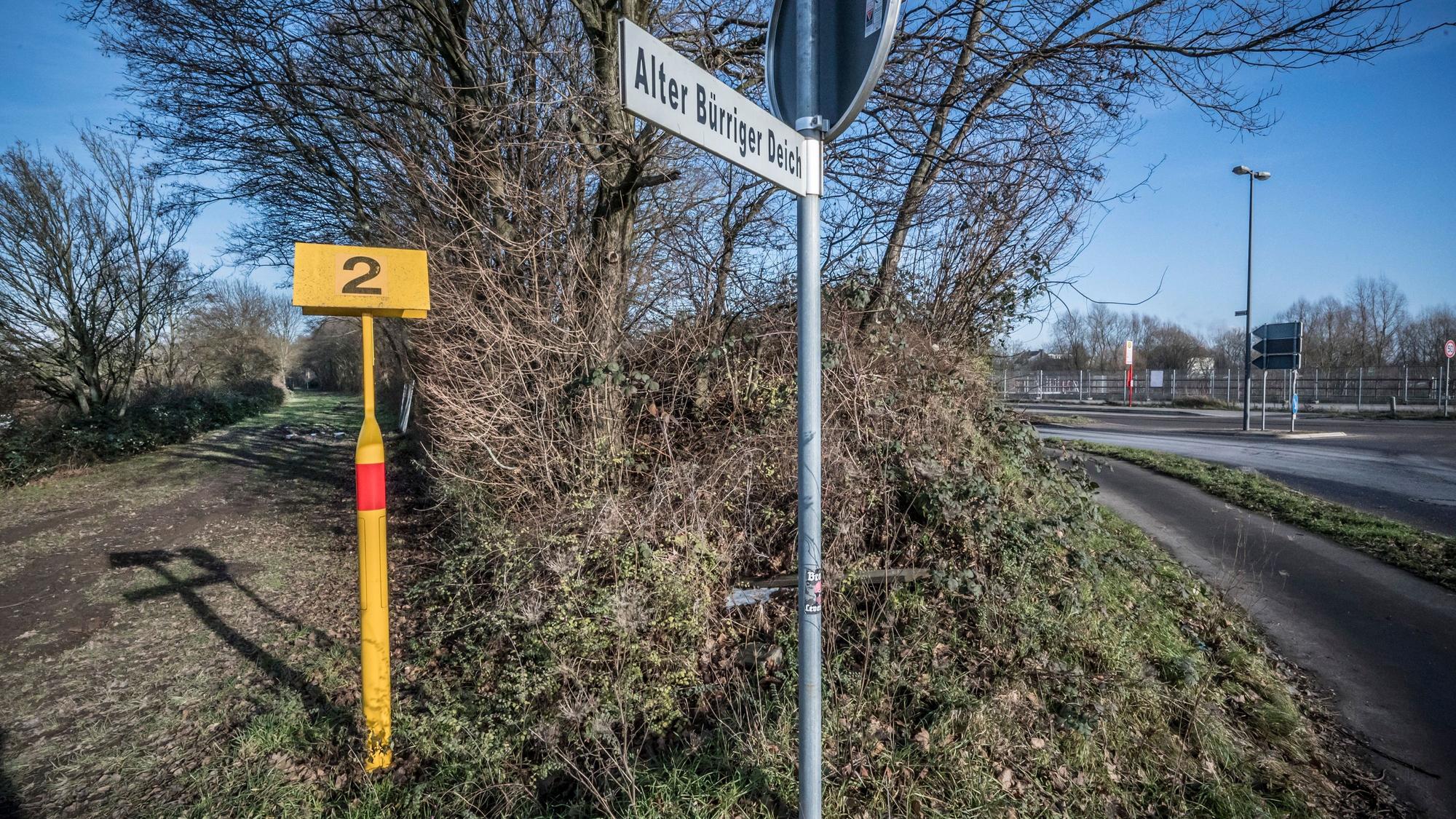 Der komplett mit Bäumen und Sträuchern bewachsene Dhünndeich