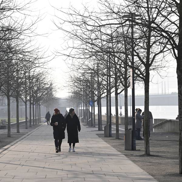 19.01.2025, Nordrhein-Westfalen, Köln: Spaziergänger gehen im diesigen Wetter am Rheinufer. Foto: Roberto Pfeil/dpa +++ dpa-Bildfunk +++
