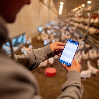 Dirk Siemers, Landwirt und Betreiber einer Legehennenhaltung im Landkreis Diepholz, kontrolliert auf seinem Smartphone die Temperatur und den Lüftungsbedarf eines Stalls.